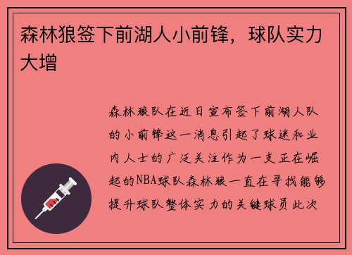 森林狼签下前湖人小前锋，球队实力大增