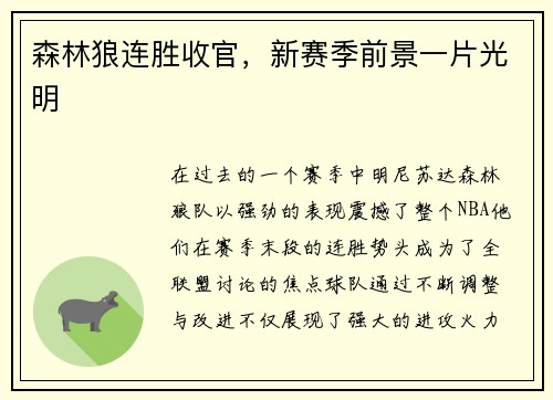 森林狼连胜收官，新赛季前景一片光明